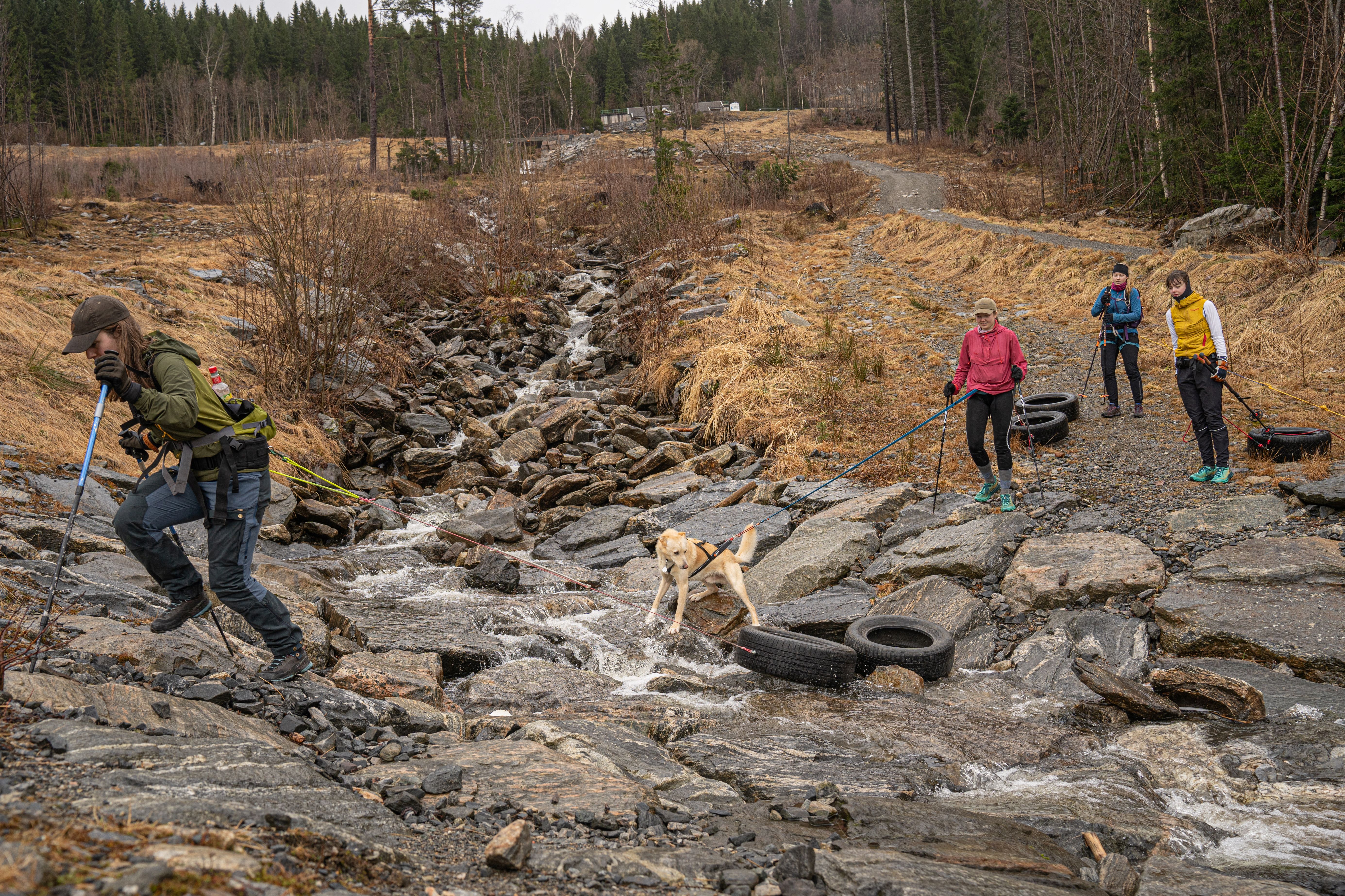 Students in Volda