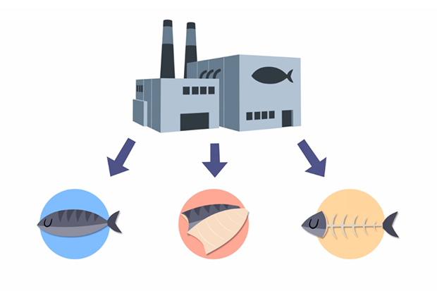 3cf61f10bb9a268a9d9ddd292c58ba6f