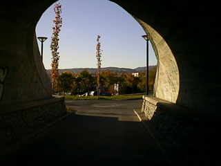 tunnel
