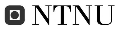 NTNU Logo