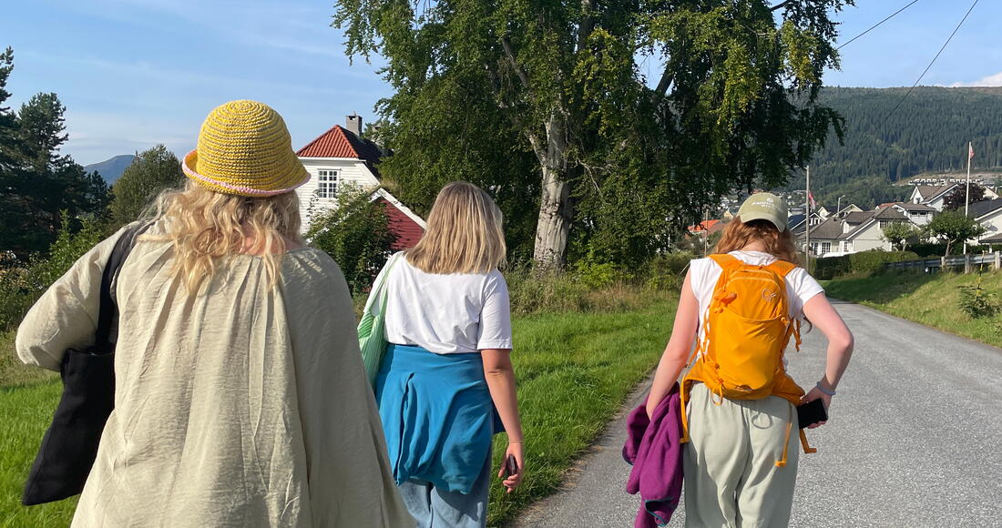 Tre damer bakfra som går langs veg.