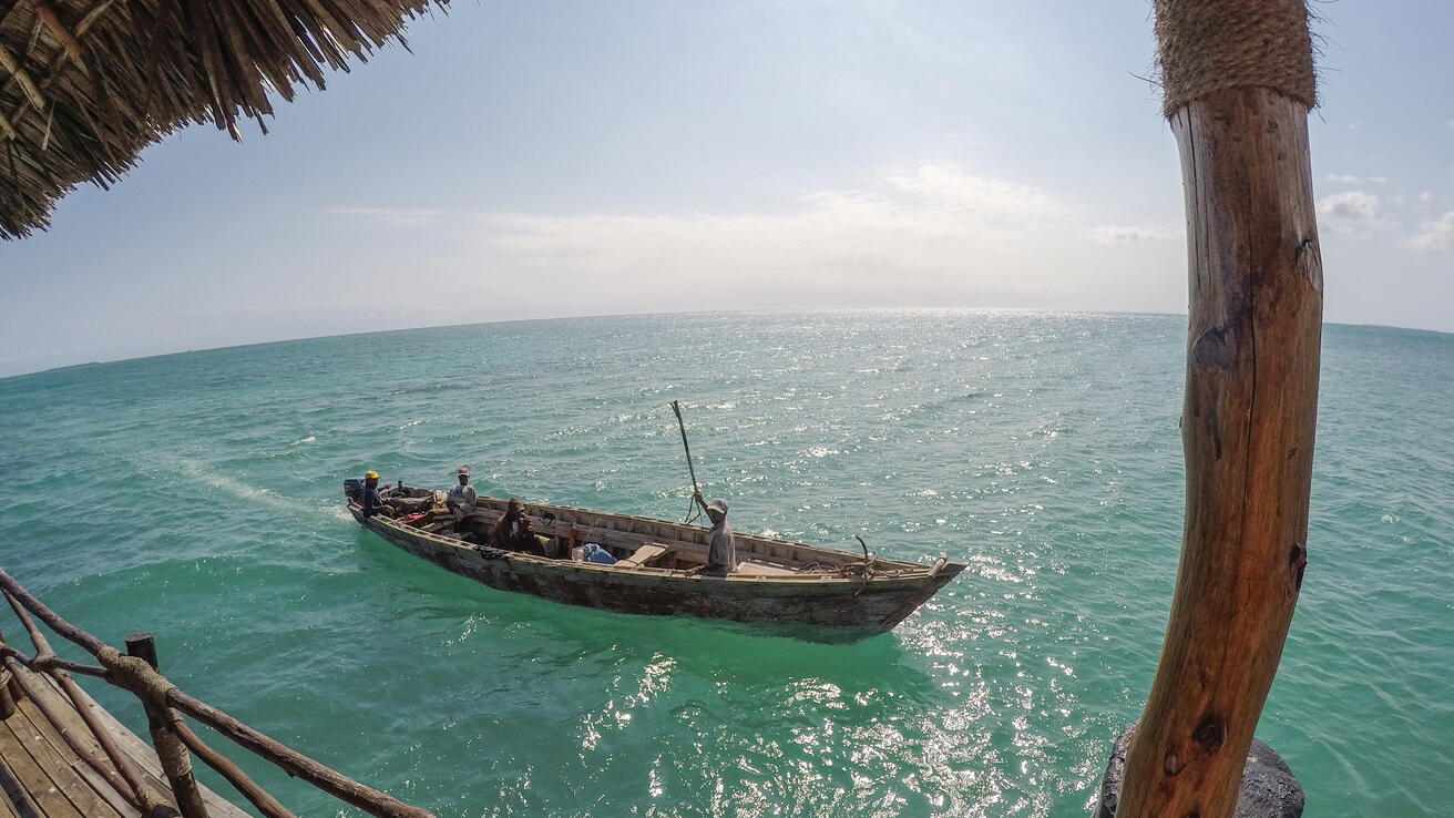 Utveksling på Zanzibar Utveksling på Zanzibar