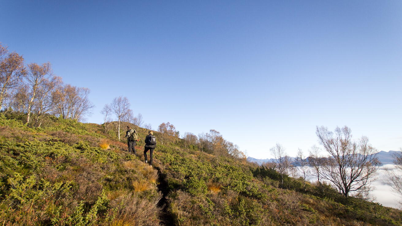 Dansken og fjellet Dansken og fjellet
