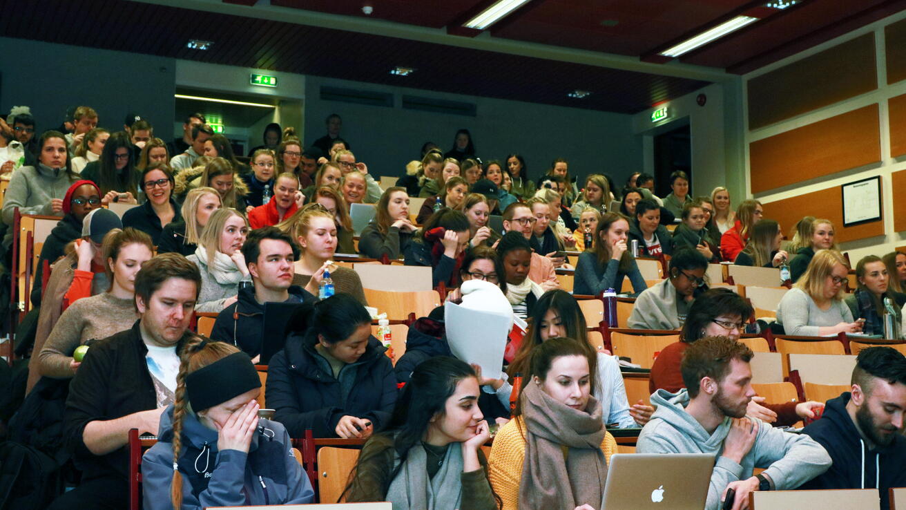 Studentar under SOM-seminar Studentar under SOM-seminar