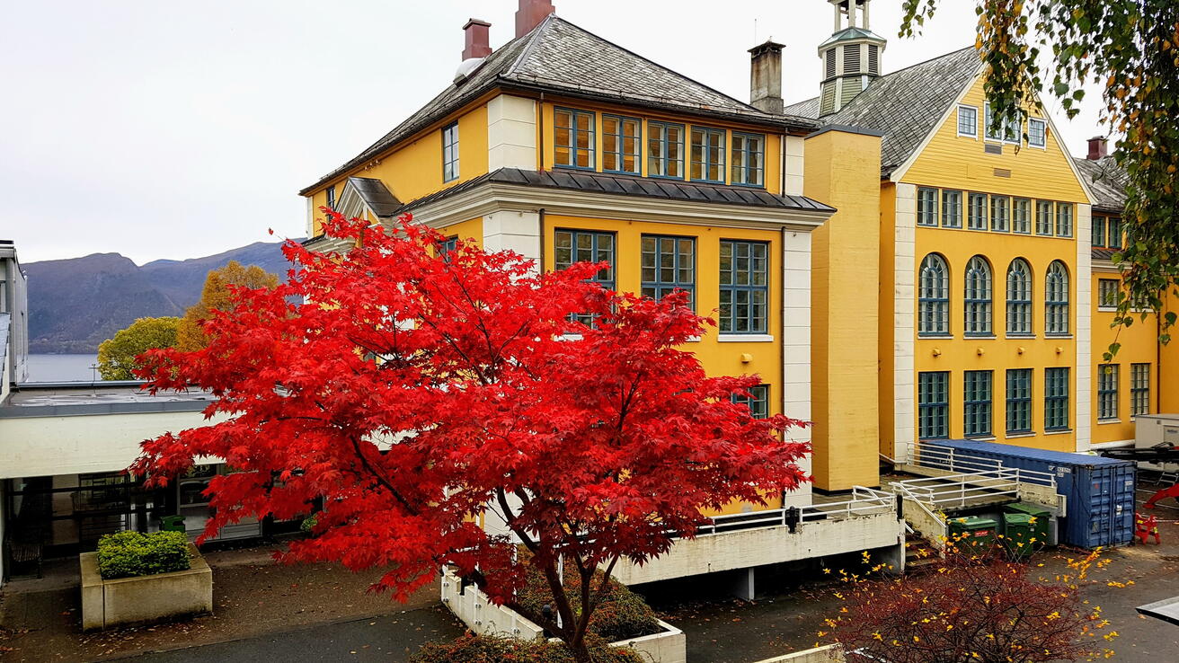 Henrik Kaarstad-huset Henrik Kaarstad-huset
