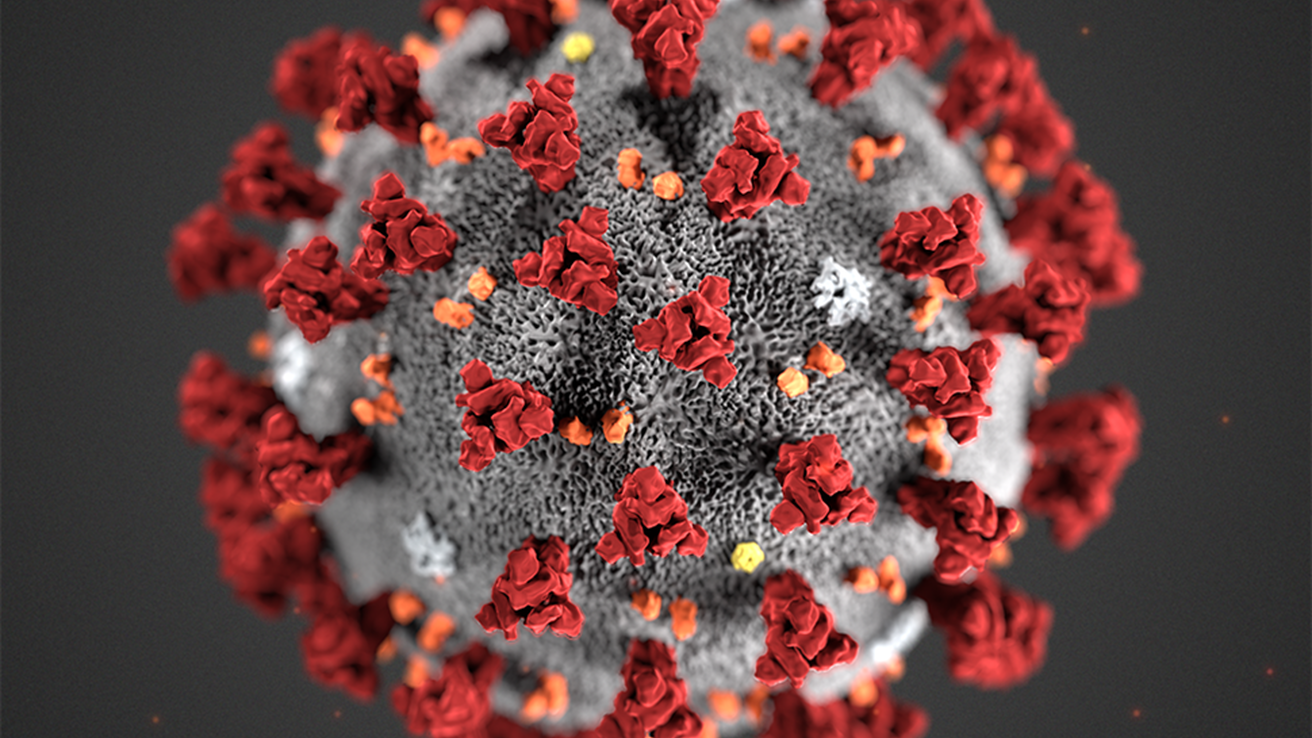 Covid-19 virus (image by FHI)
