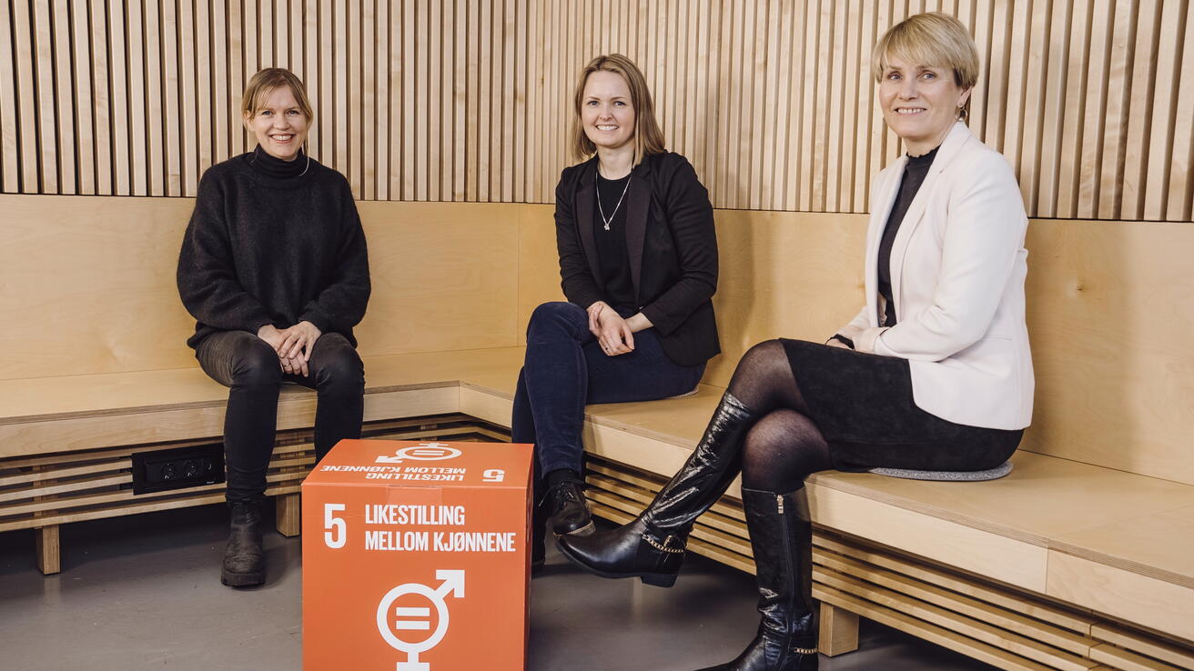 Wenche Torrissen, Silje L. Dahl, Siv T. M. Gamlem. Foto: A. Remmereit