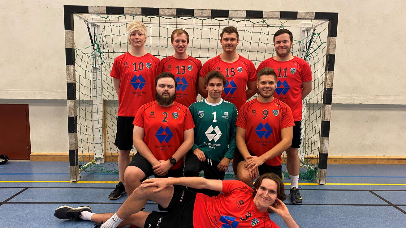 VSI sitt herrelag i handball