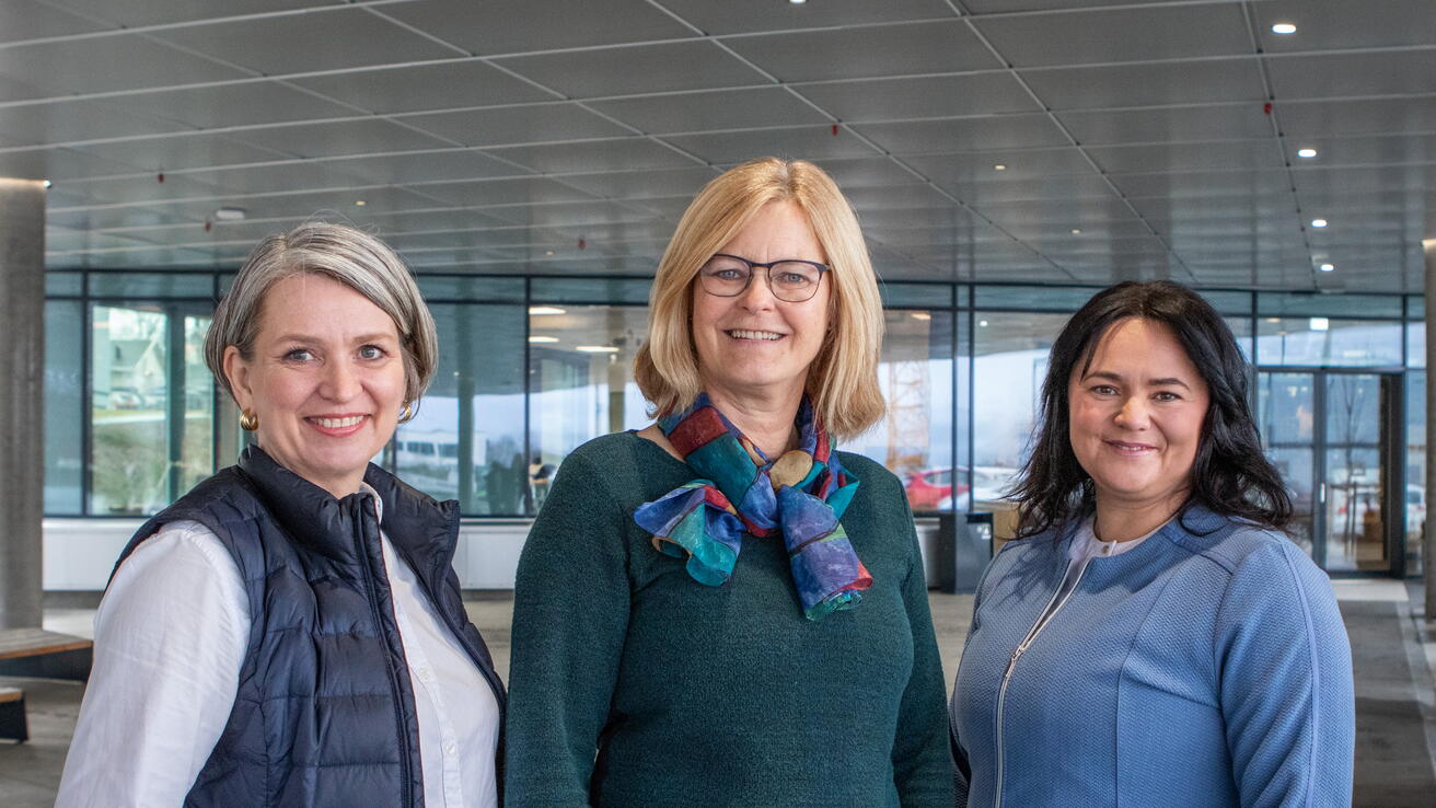 Kari Eldby Rygg, Liv Ingrid Aske Håberg og Beate Farstad forskar på studentar med funksjonsnedsettingar og UH-sektoren