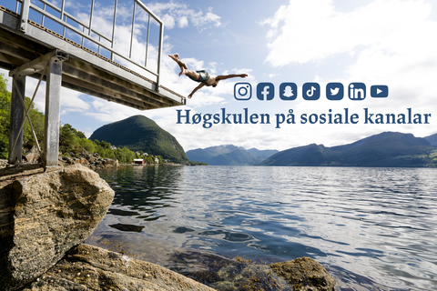 Høgskulen på sosiale kanalar