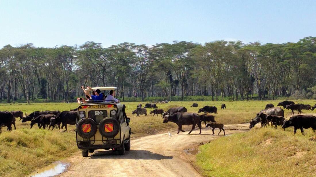 Afrika situasjonsbilde