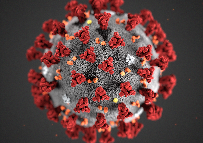 Covid-19 virus (image by FHI)