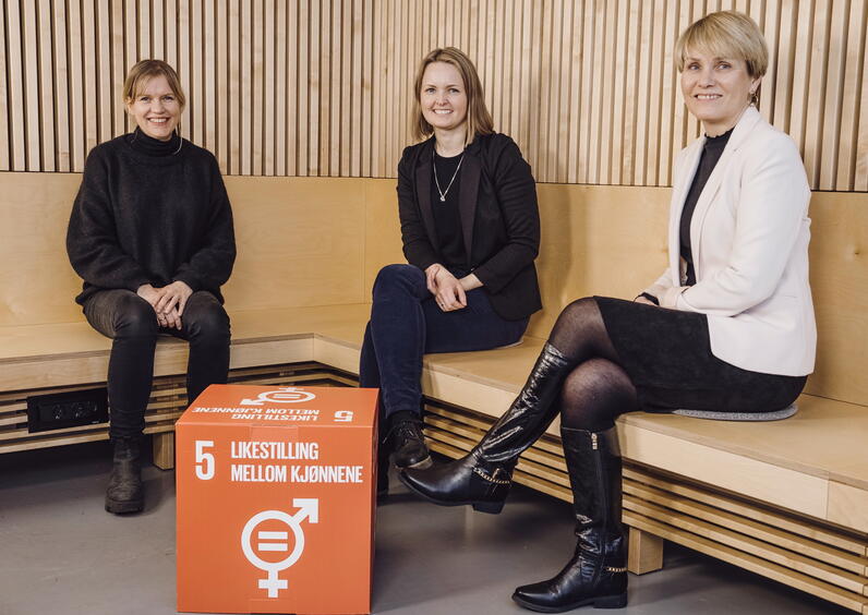 Wenche Torrissen, Silje L. Dahl, Siv T. M. Gamlem. Foto: A. Remmereit