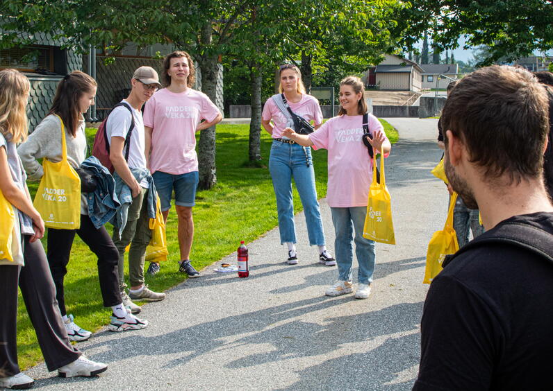 Studiestart 2020