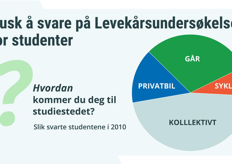 Levekårsundersøkelsen blir gjennomført i 2021