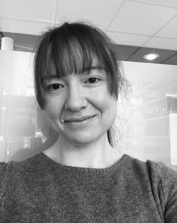 Profile picture for user storeboe