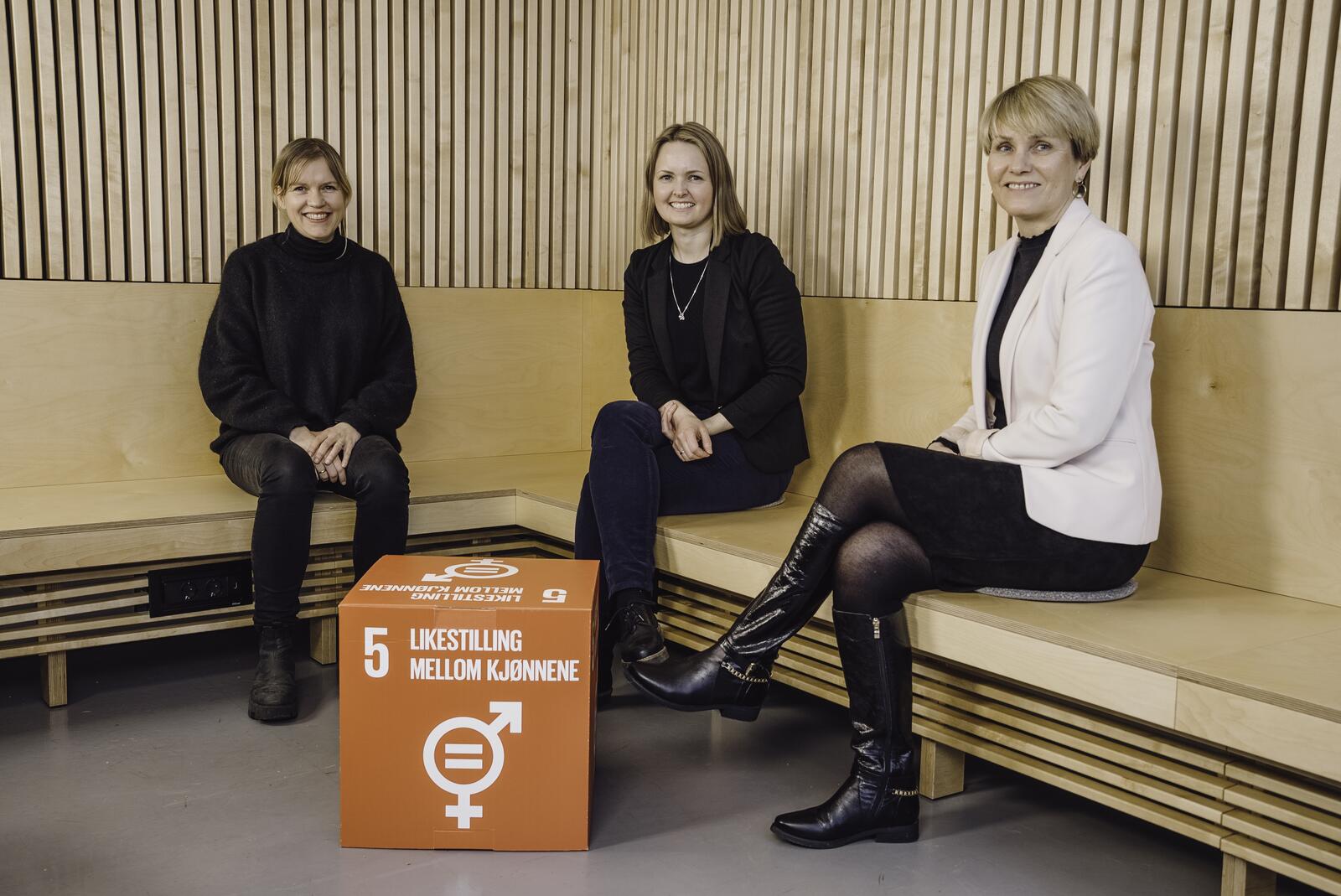 Wenche Torrissen, Silje L. Dahl, Siv T. M. Gamlem. Foto: Atle Remmereit